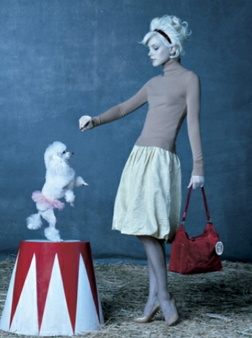 Poodle